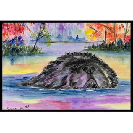 Micasa 18 x 27 in. Newfoundland Indoor Outdoor Mat MI256131
